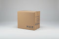 Dinner Napkin Box of 20